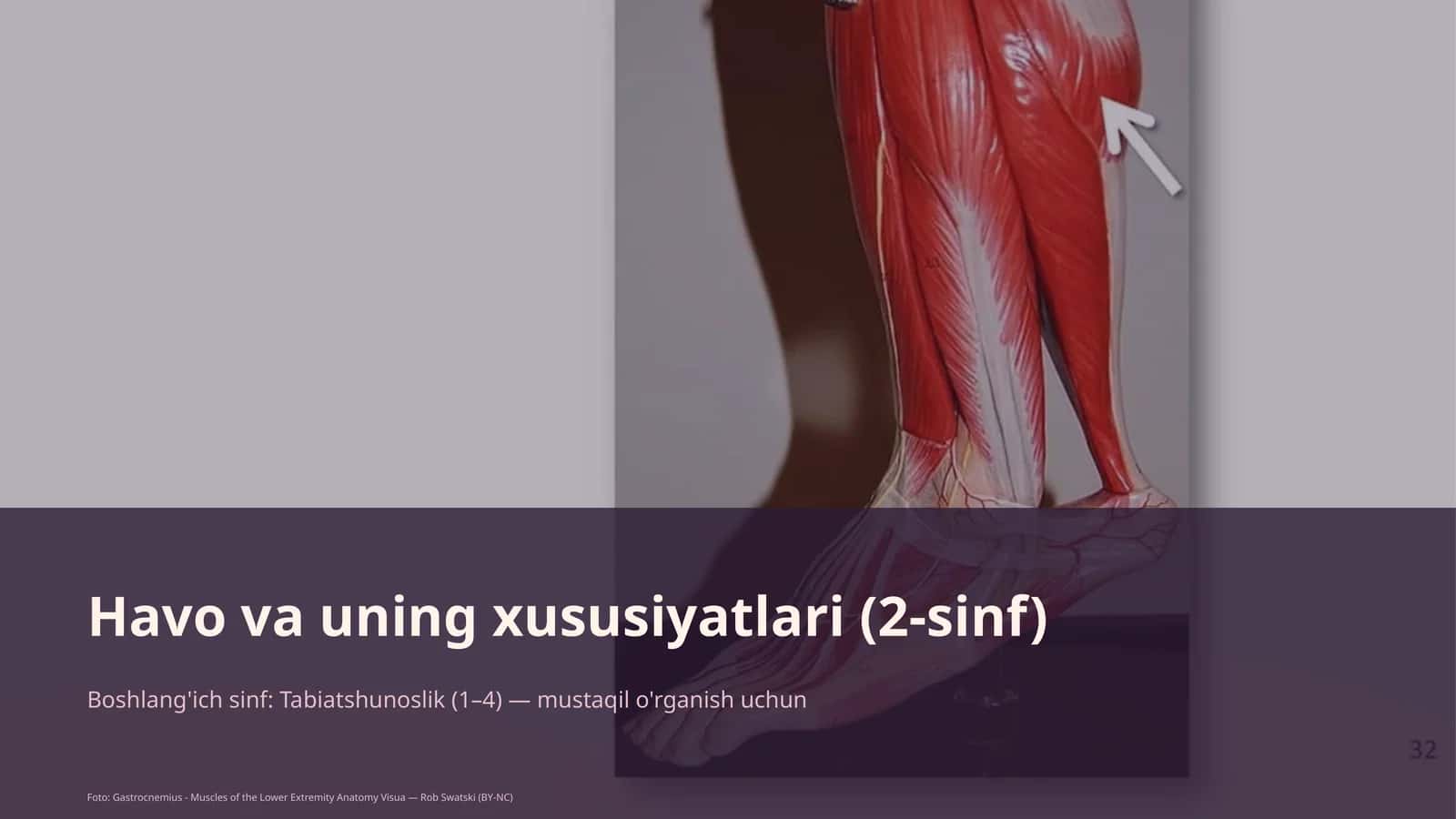 Havo va uning xususiyatlari (2-sinf) 4