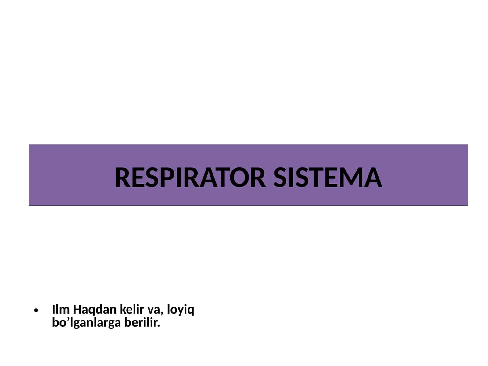 RESPIRATOR SISTEMA 1