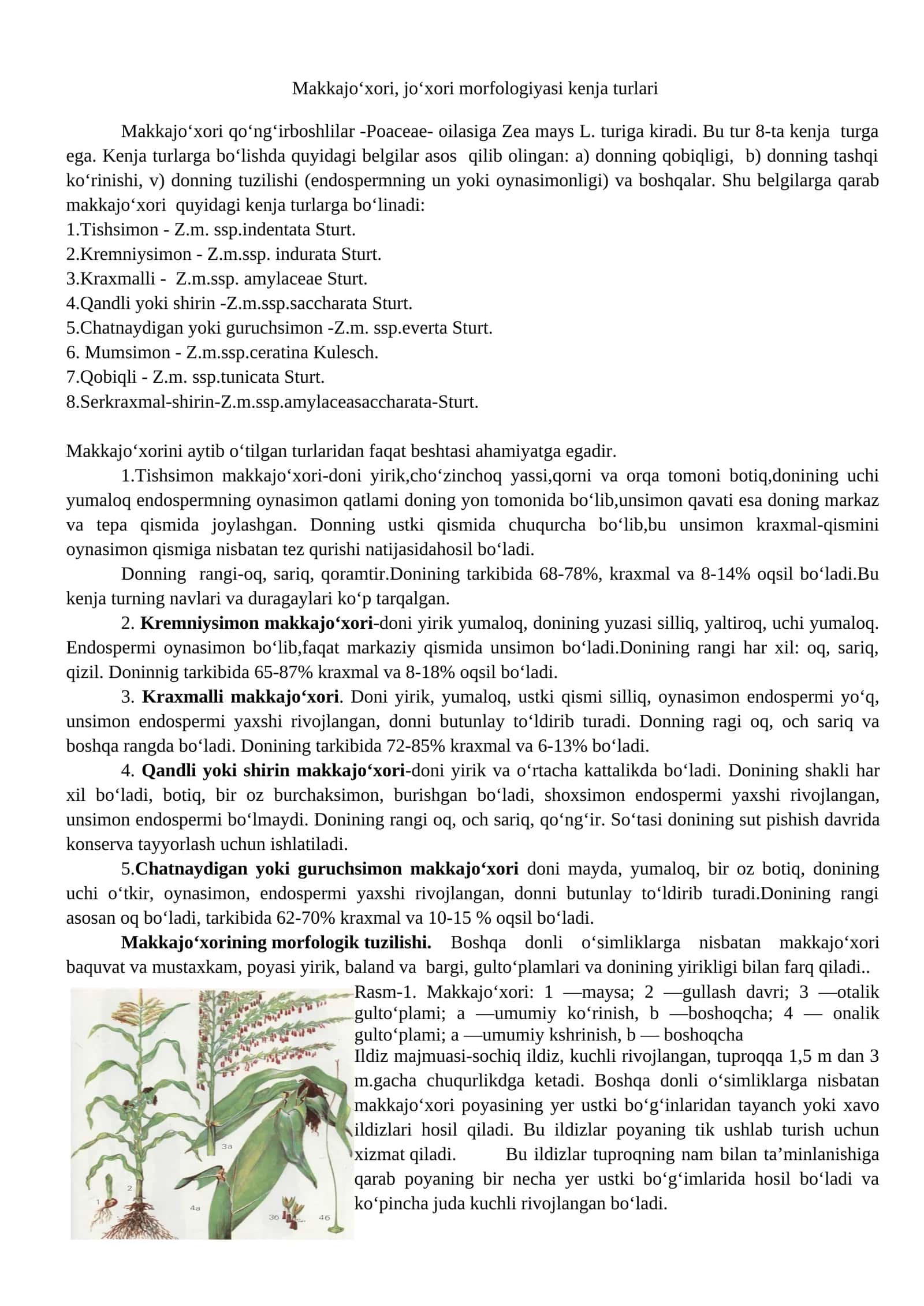 Makkajo‘xori, jo‘xori morfologiyasi kenja turlari 1