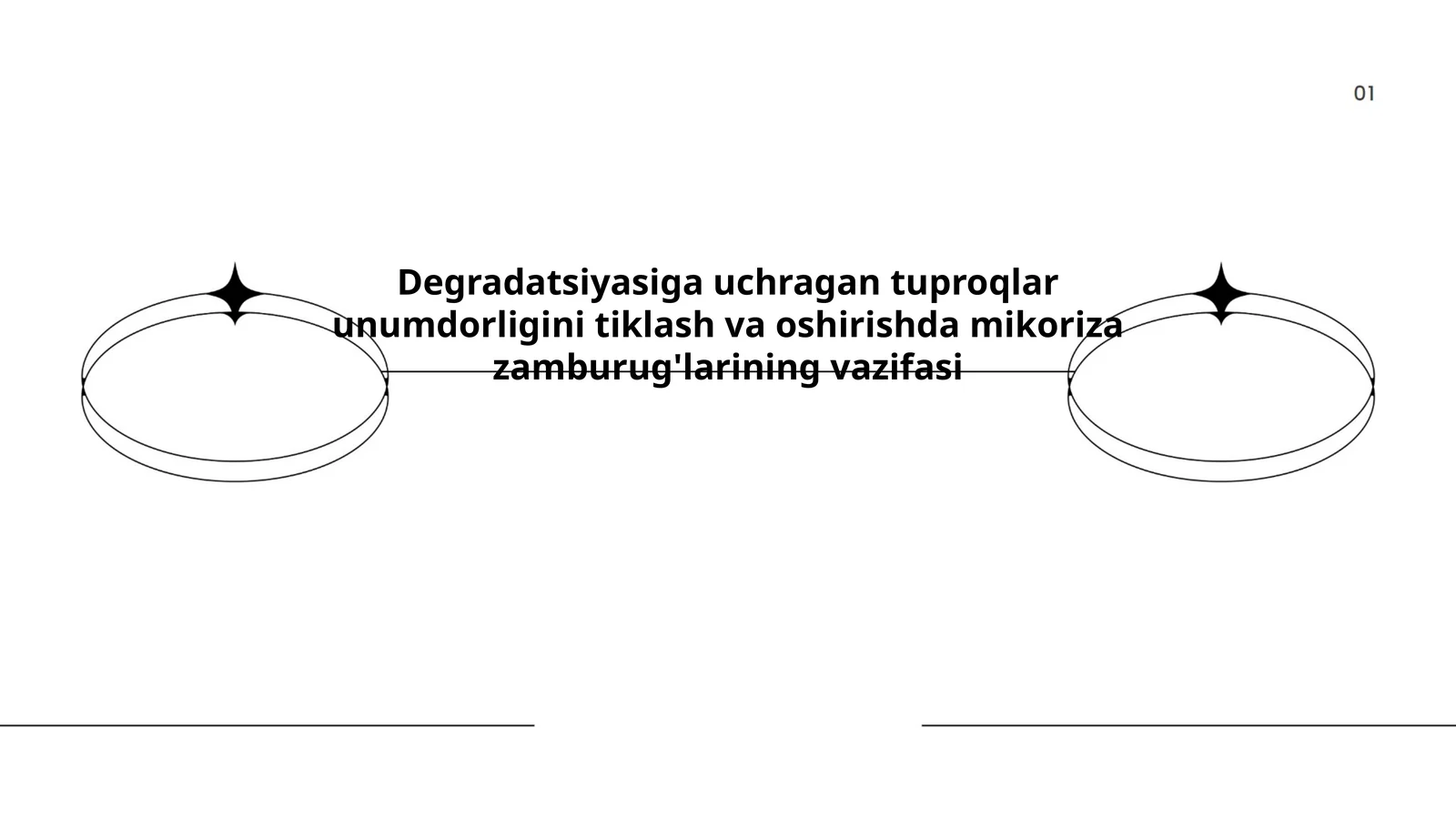 Degradatsiyasiga uchragan tuproqlar unumdorligini tiklash va oshirishda mikoriza zamburug'larining vazifasi 1