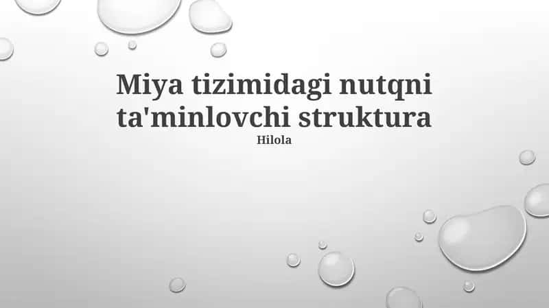 Miya tizimidagi nutqni ta'minlovchi struktura 1