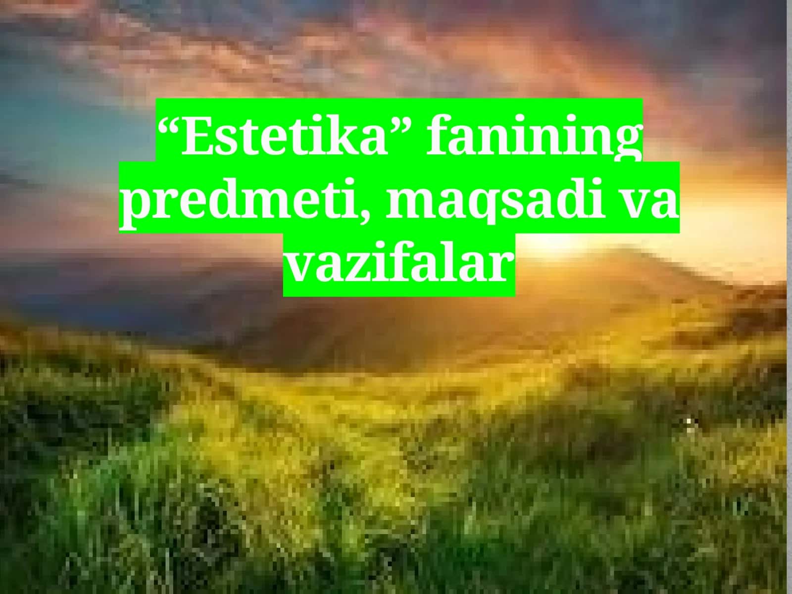 Estetika 1
