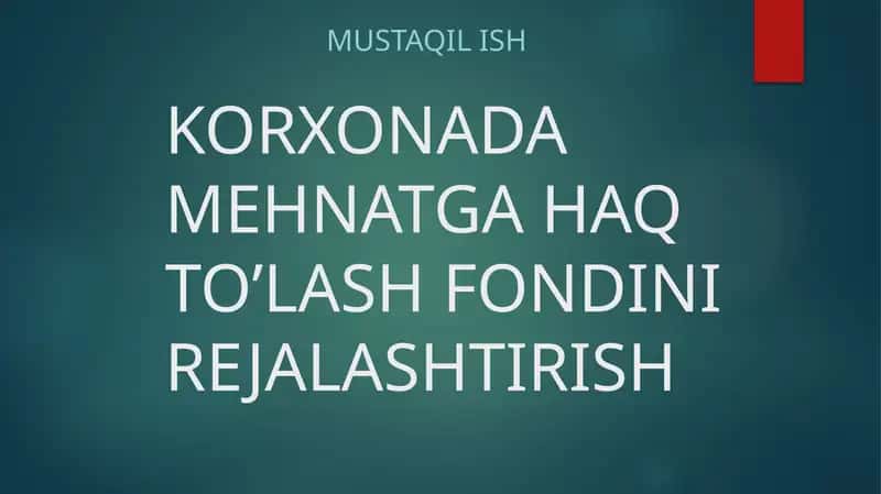 Korxonada mehnatga haq to'lash fondini rejalashtirish, Mustaqil ish reja 1