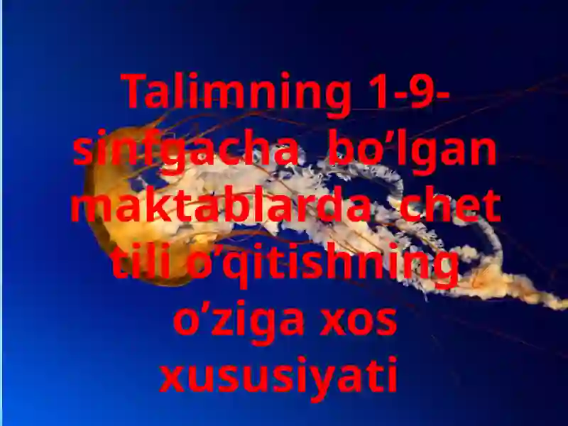 Davlat ta'lim standartlari