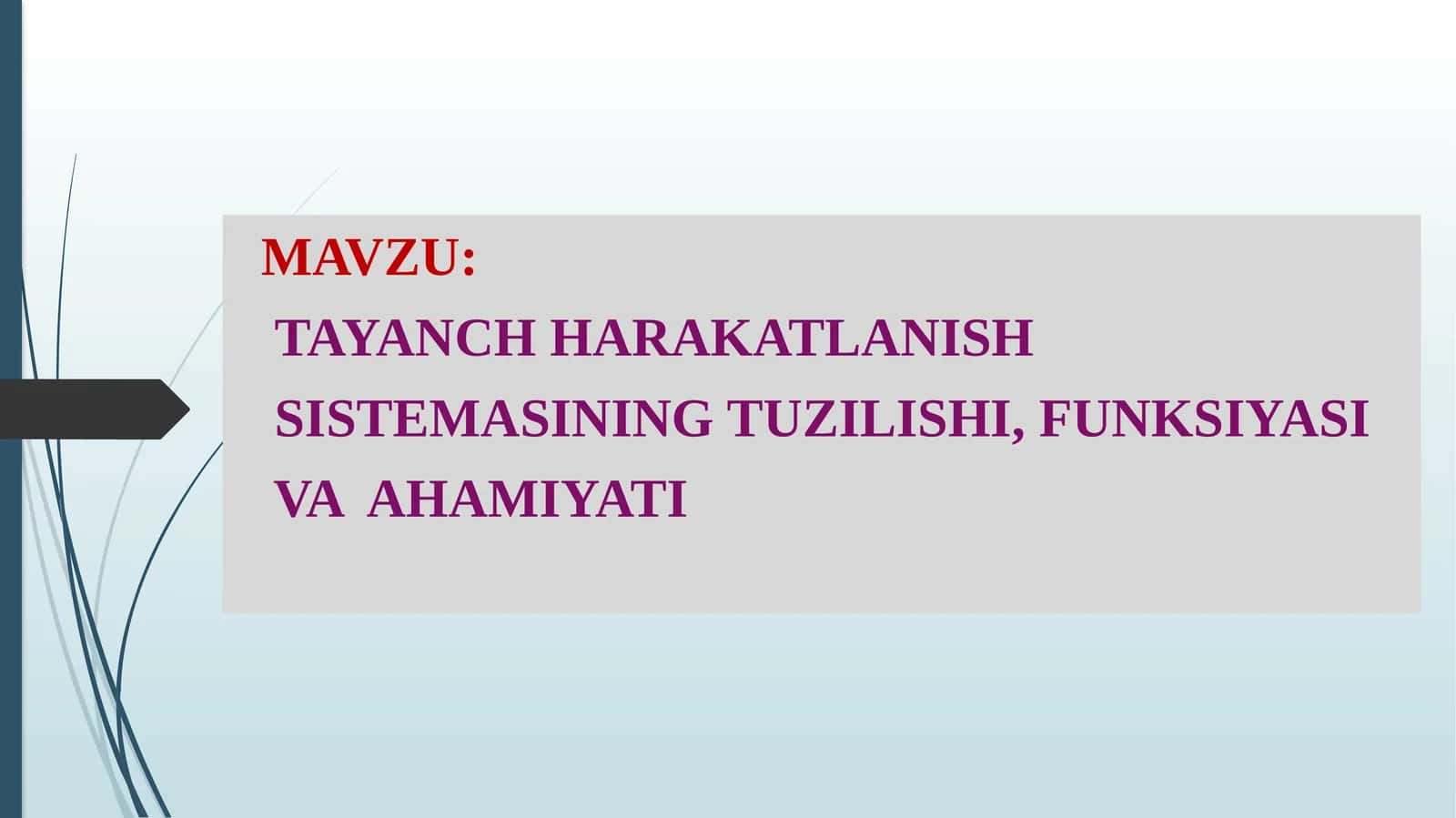 TAYANCH HARAKATLANISH SISTEMASINING TUZILISHI, FUNKSIYASI VA AHAMIYATI 1