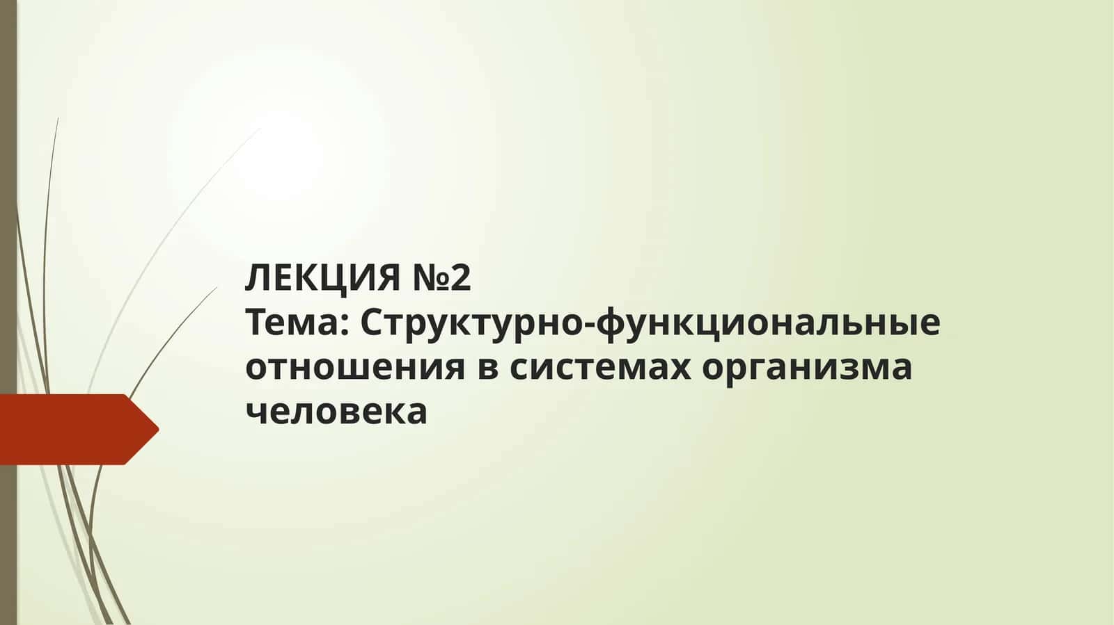 ЛЕКЦИЯ №2Тема: Структурно-функциональные отношения в системах организма человека 1