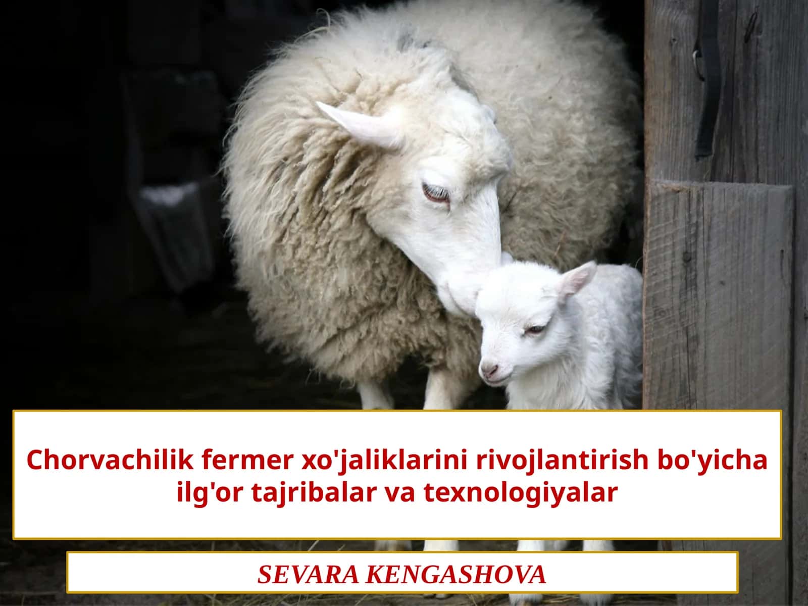 Baliq va boshqa dengiz mahsulotlari 1