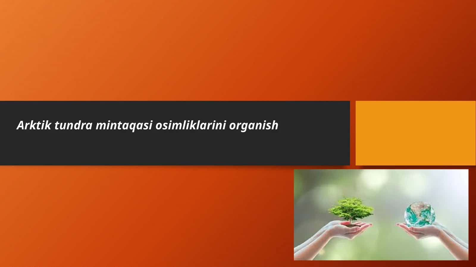 Arktik Tundra mintaqasi oʻsimliklarini organish 1