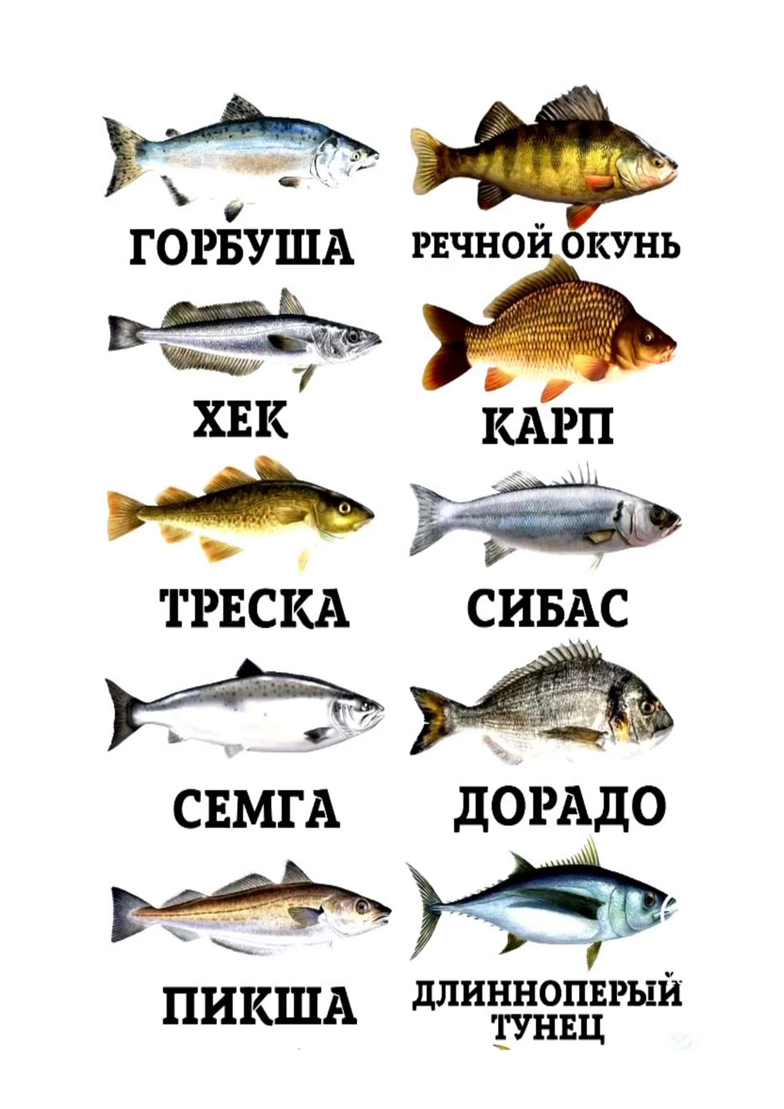 Mustaqil ishlar – Tibbiyot nazorat topshiriqlari va javoblar (2010-2021) 1