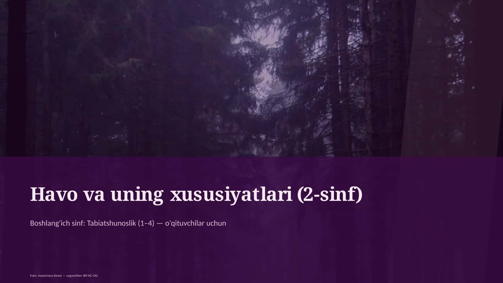 Havo va uning xususiyatlari (2-sinf) 1