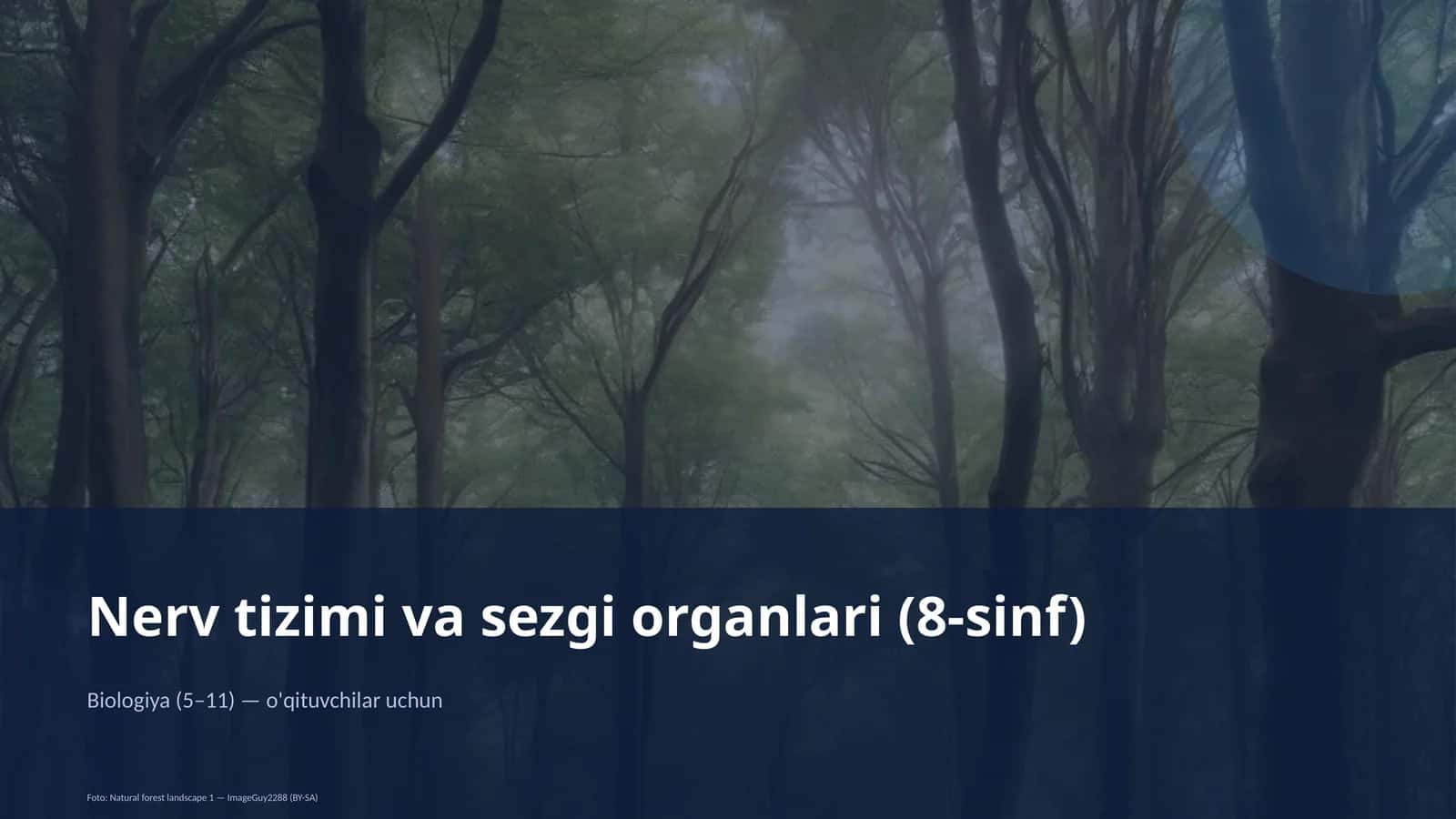 Nerv tizimi va sezgi organlari (8-sinf) 1