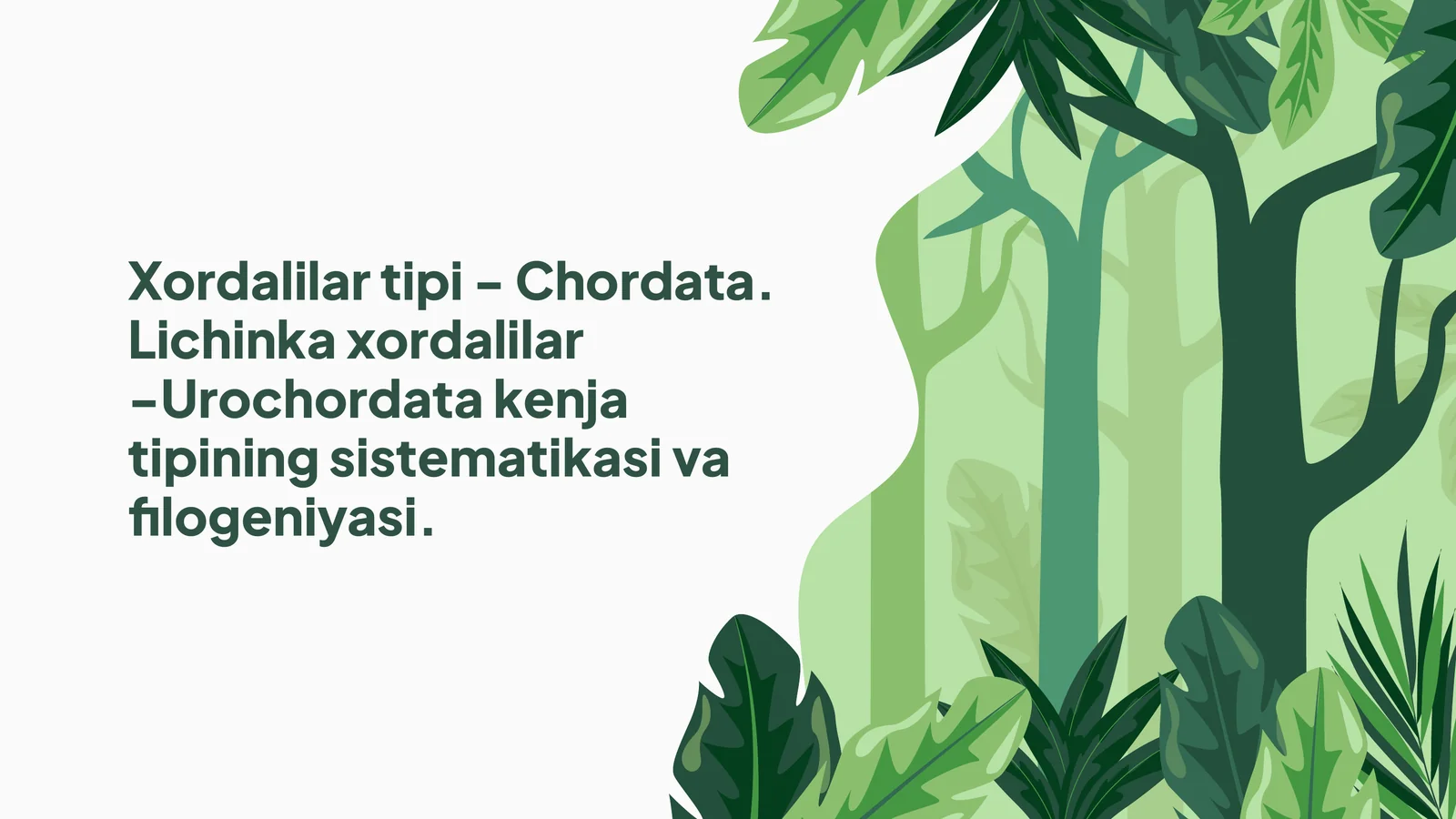 Xordalilar tipi - Chordata 1