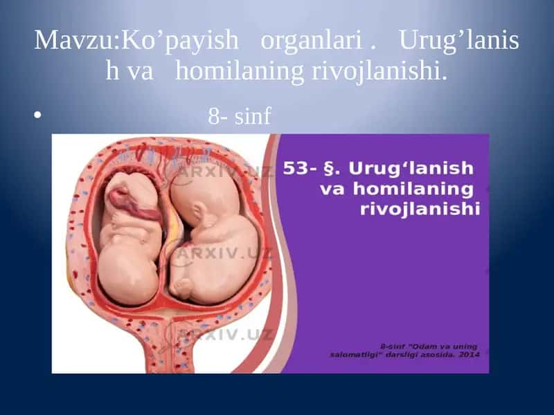 Ko’payish organlari . Urug’lanish va homilaning rivojlanishi 1