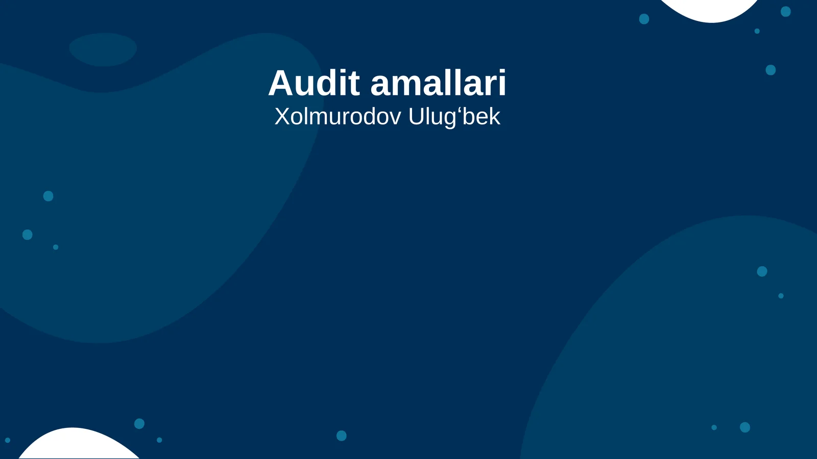 Audit amallari 1