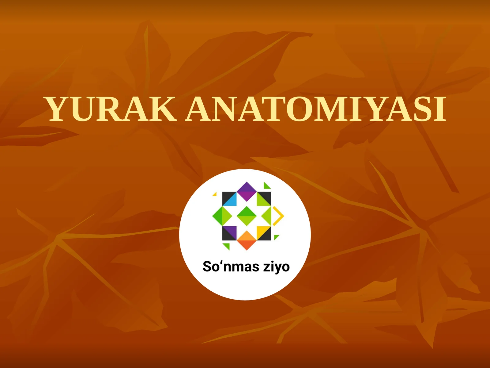 YURAK ANATOMIYASI 1