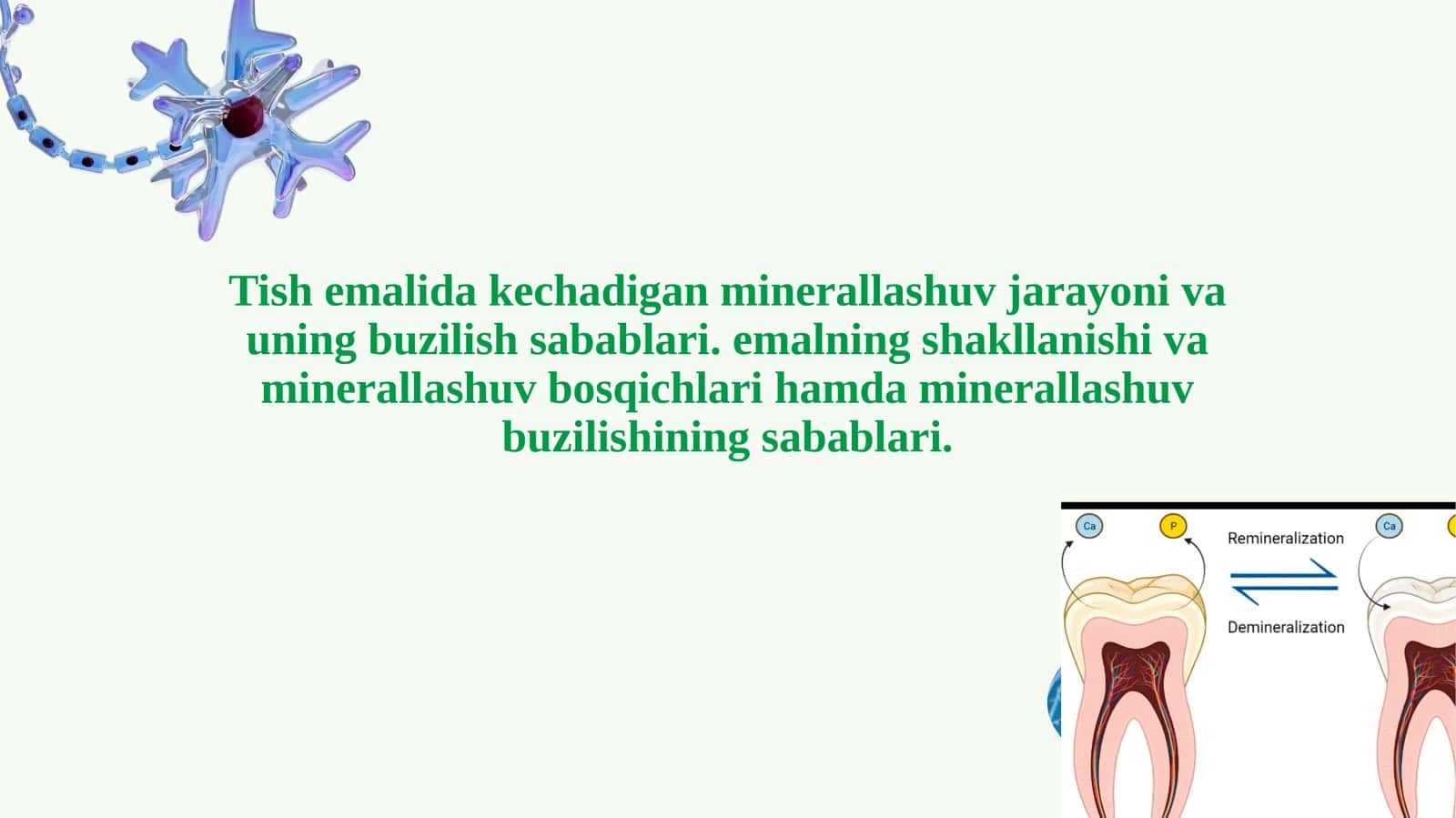 Tish emalining shakllanishi va minerallashuv bosqichlari 1