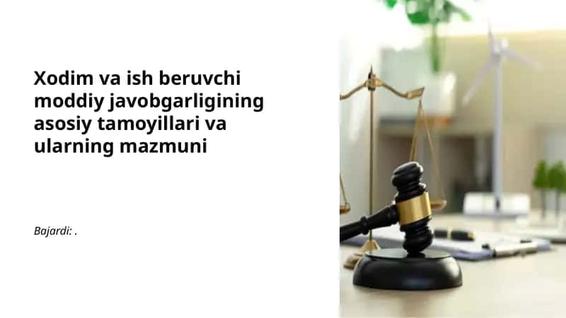 Moddiy javobgarlikning asosiy tamoyillari va ularning mazmuni 1