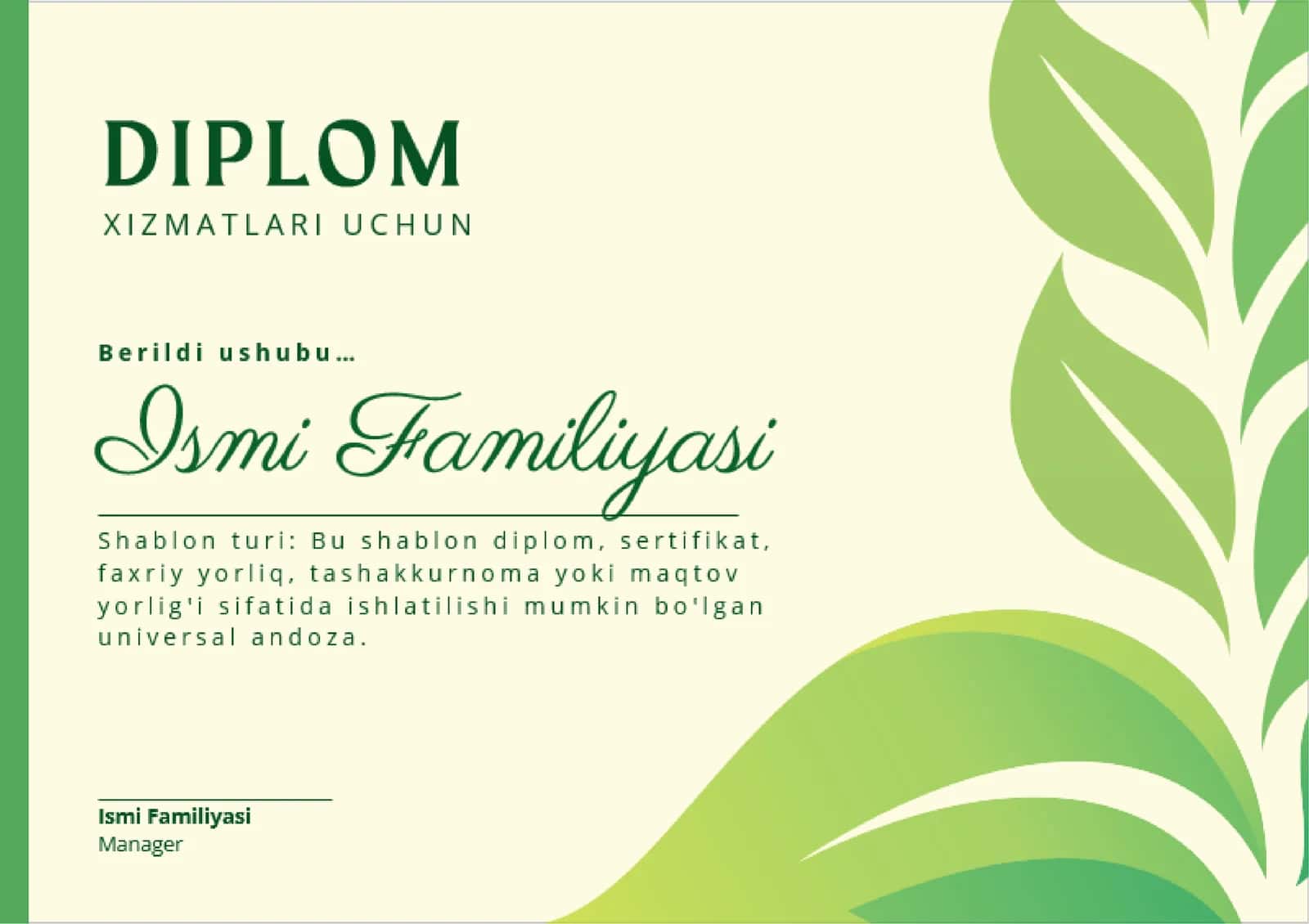 DIPLOM 1