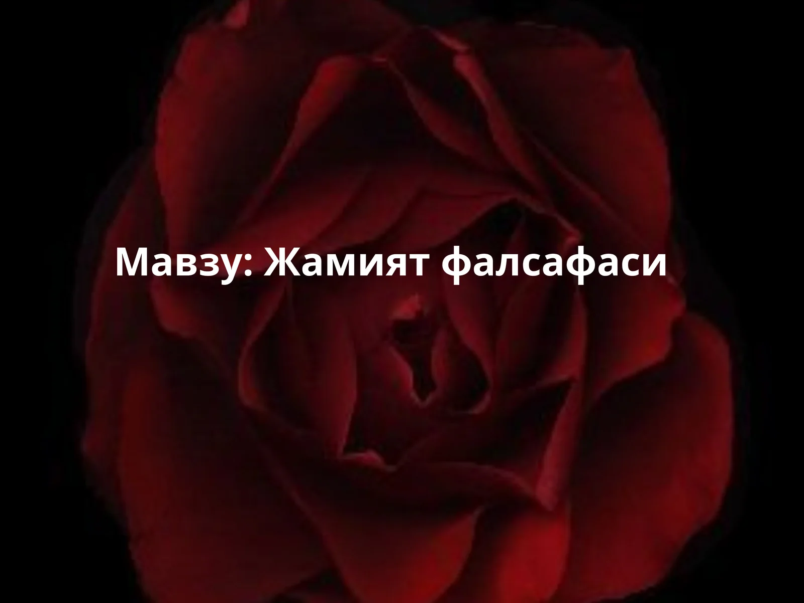 Жамият фалсафаси 1