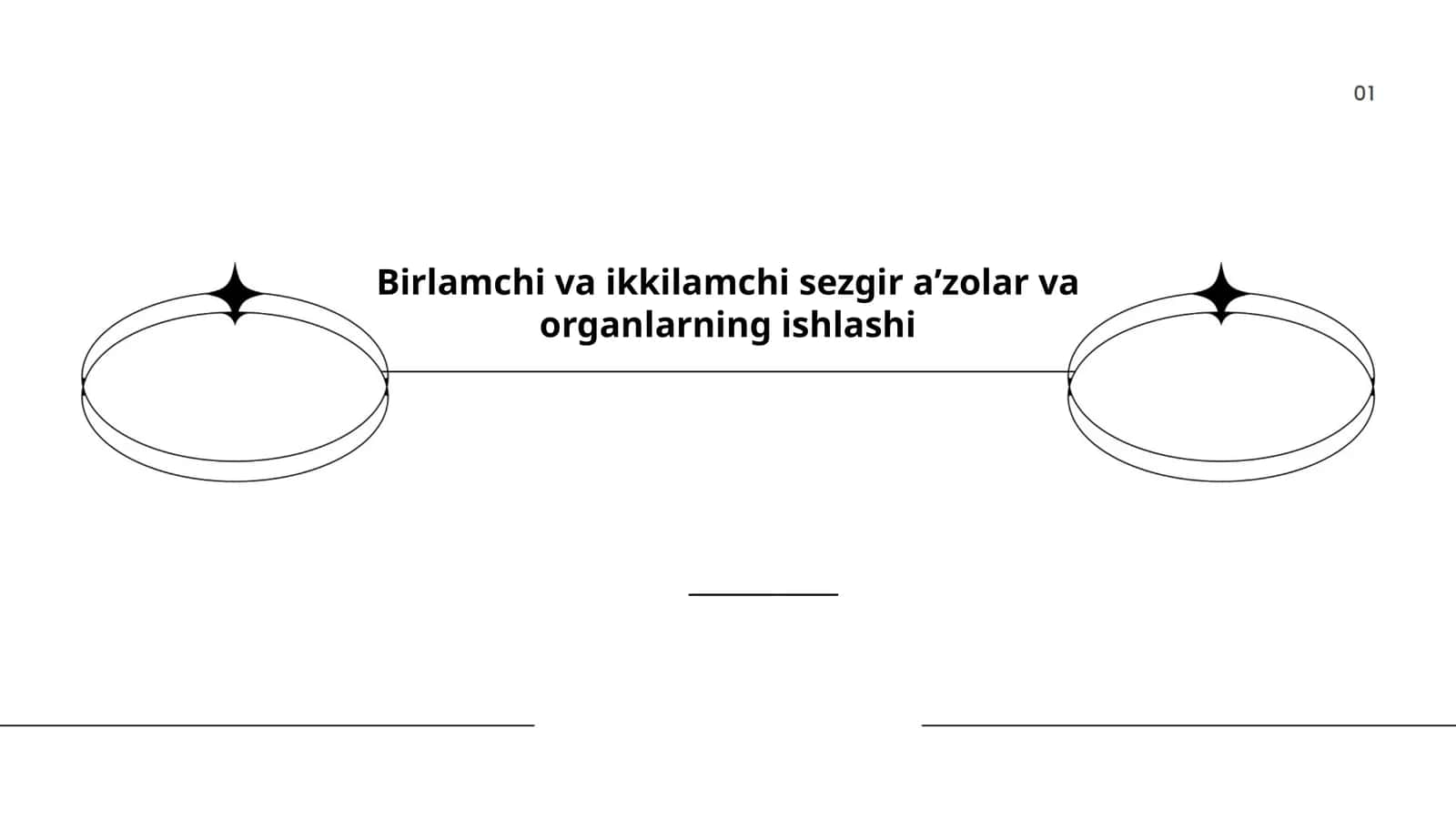 Birlamchi va ikkilamchi sezgir a’zolar va organlarning ishlashi 1