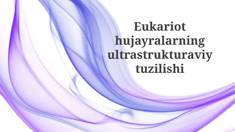 Eukariothujayralarningultrastrukturaviytuzilishi 1
