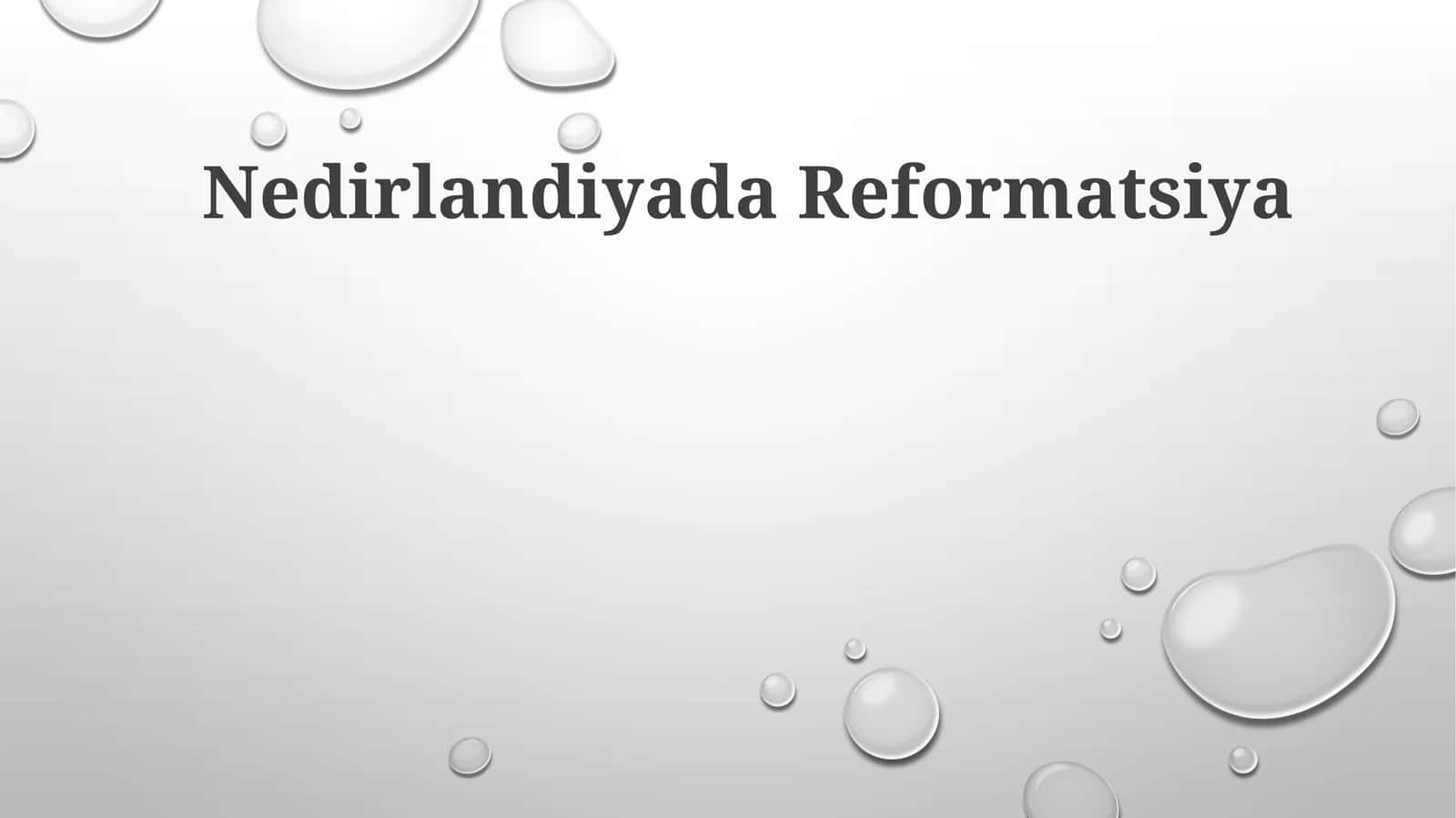 Nedirlandiyada Reformatsiya 1