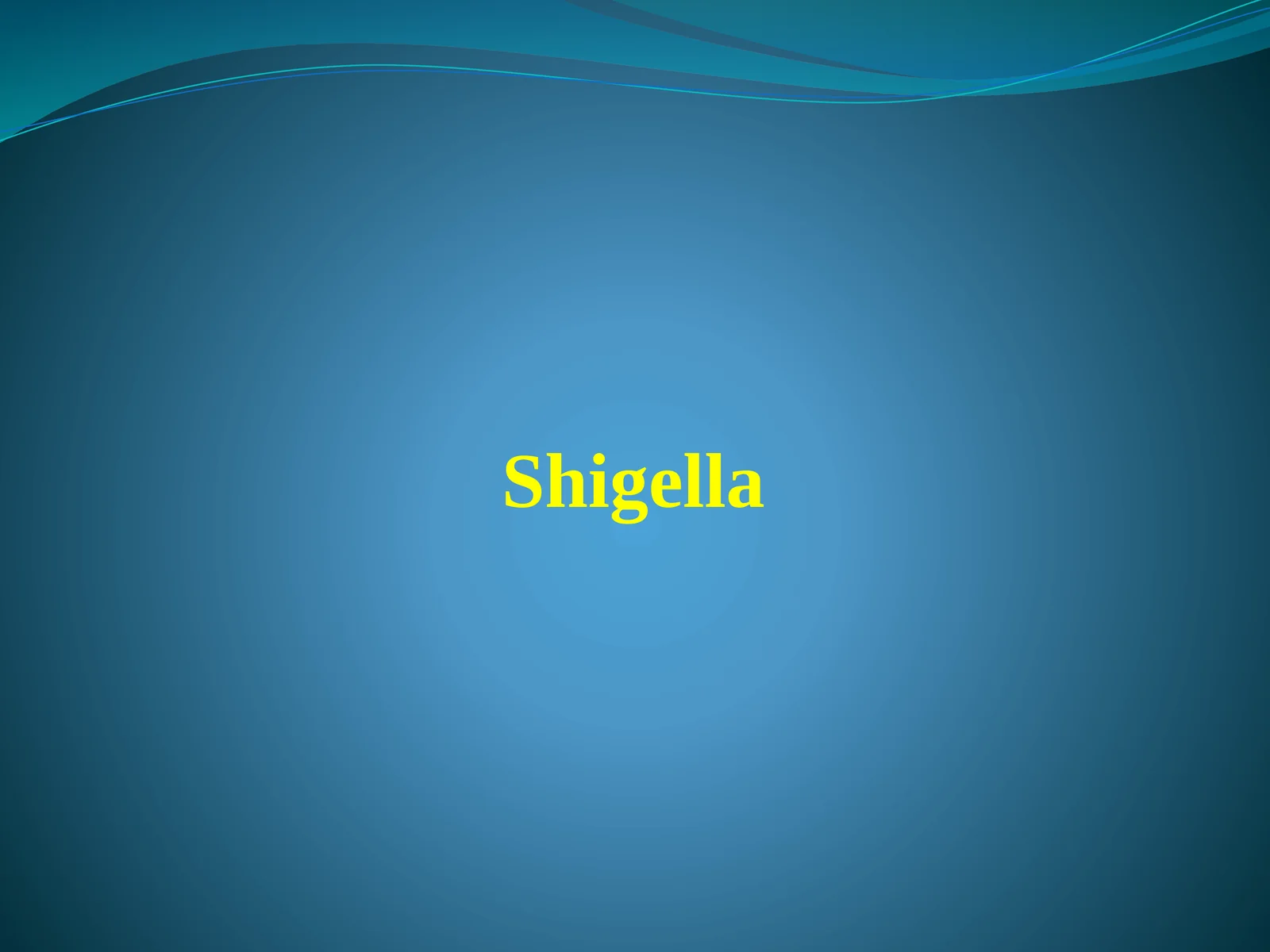 Shigella 1