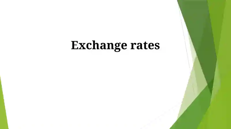 Understanding Exchange Rates