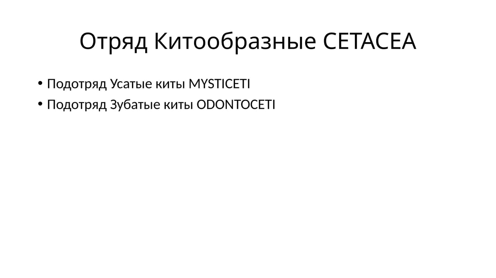 Китообразные CETACEA 1