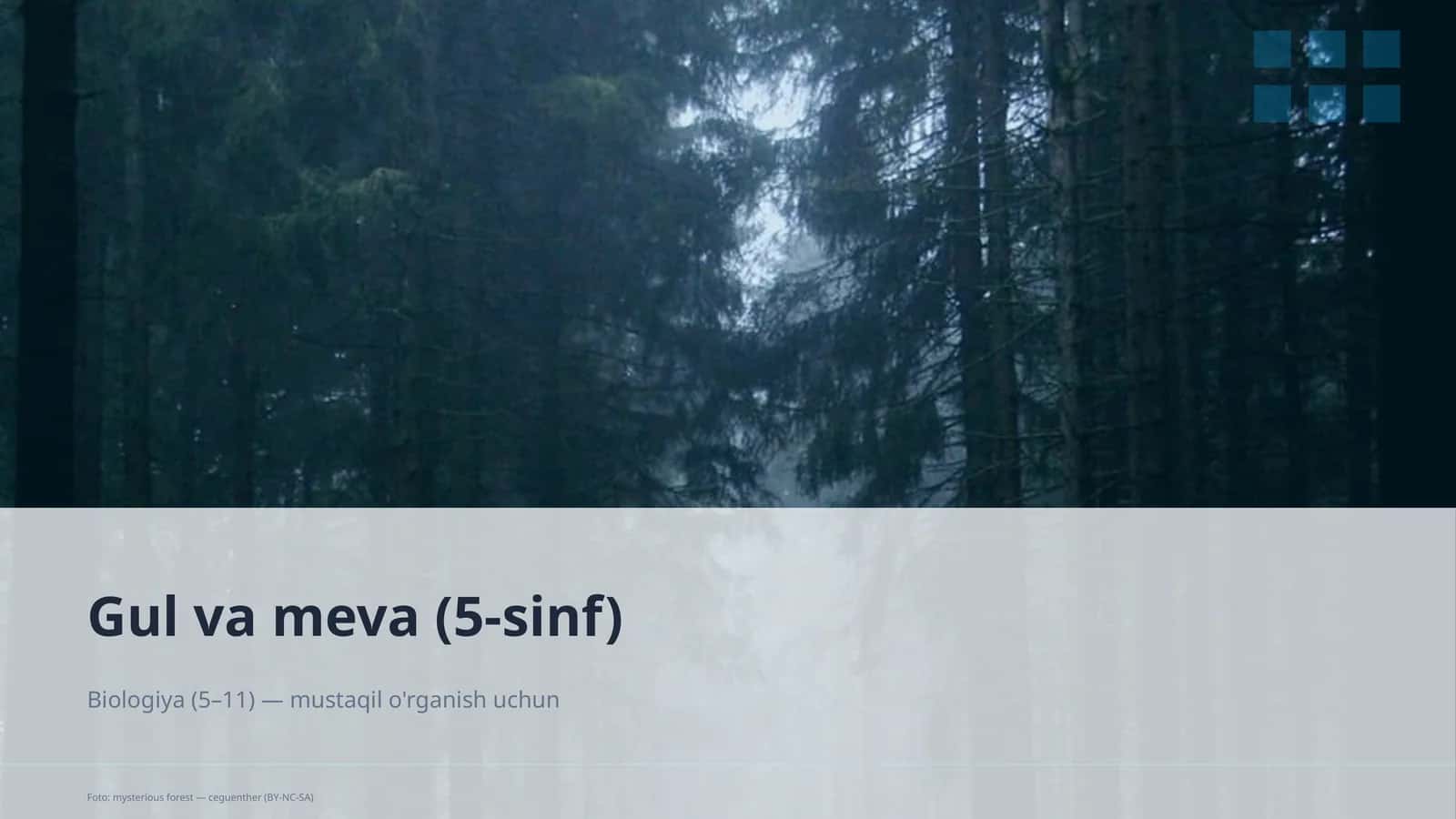 Gul va meva (5-sinf) 1
