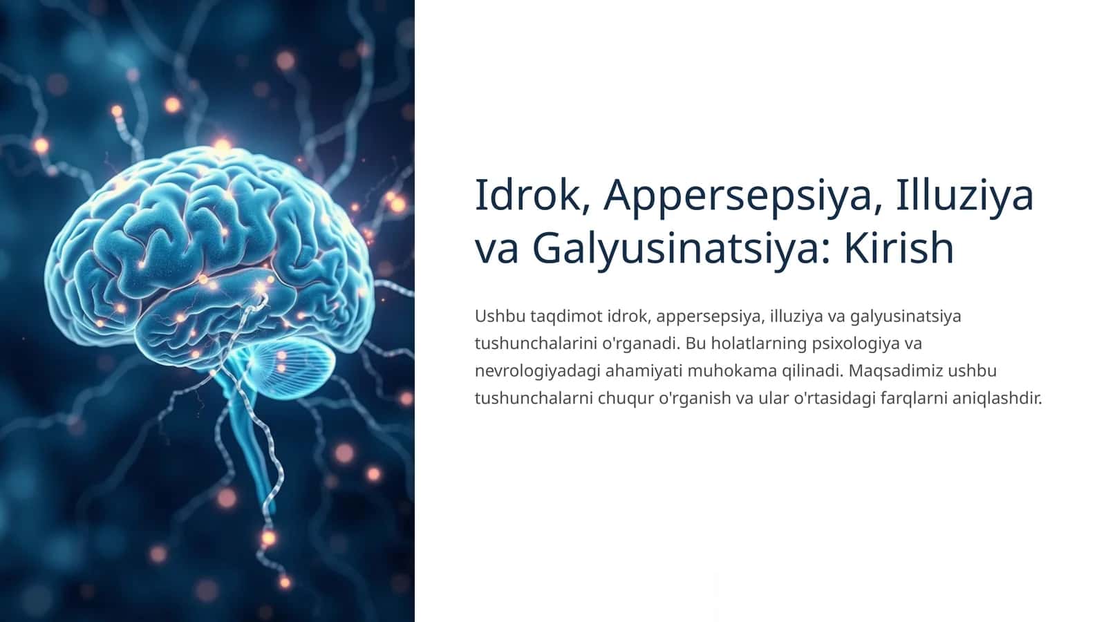 Idrok, Appersepsiya, Illuziya va Galyusinatsiya: Kirish 1