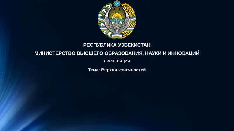 Верхние конечности 1