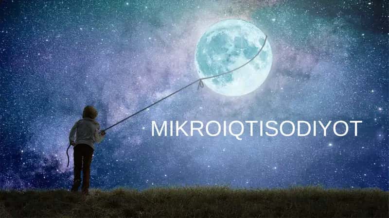 MIKROIQTISODIYOT 1