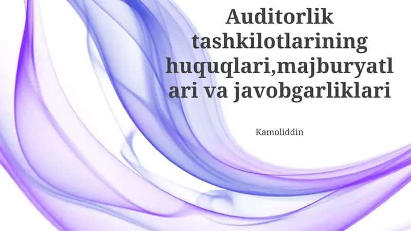 Audit Tashkilotlarining Huquqlari 1