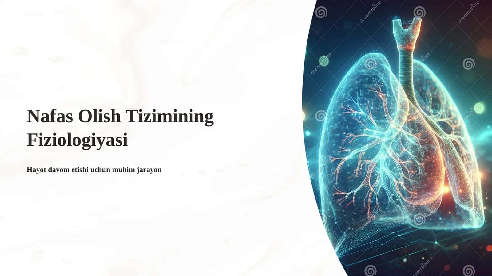 Nafas Olish Tizimining Fiziologiyasi 1