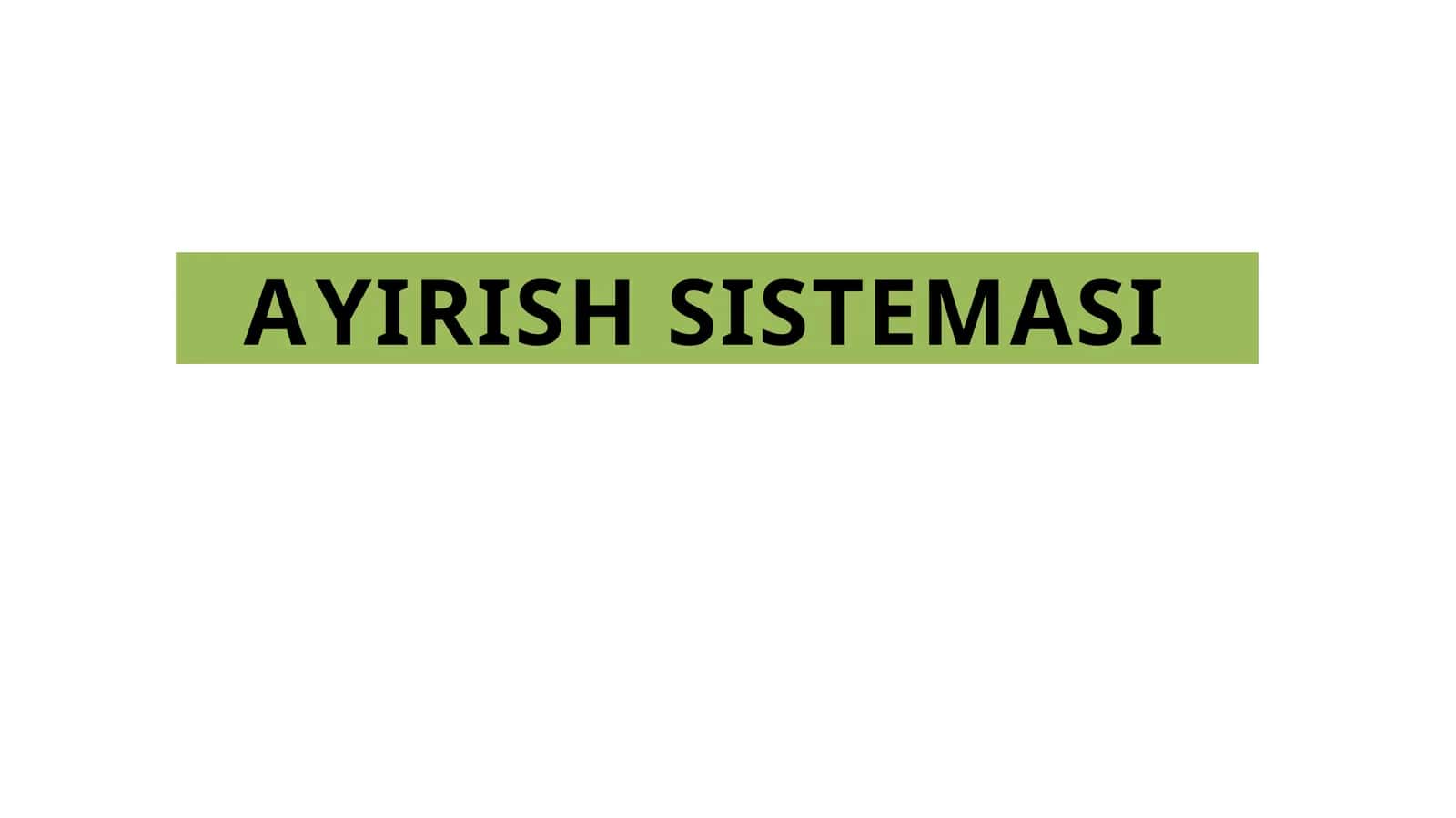 AYIRISH SISTEMASI 1