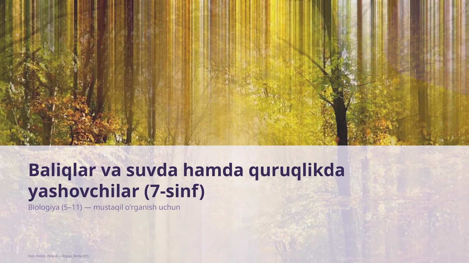 Baliqlar va suvda hamda quruqlikda yashovchilar (7-sinf) 1