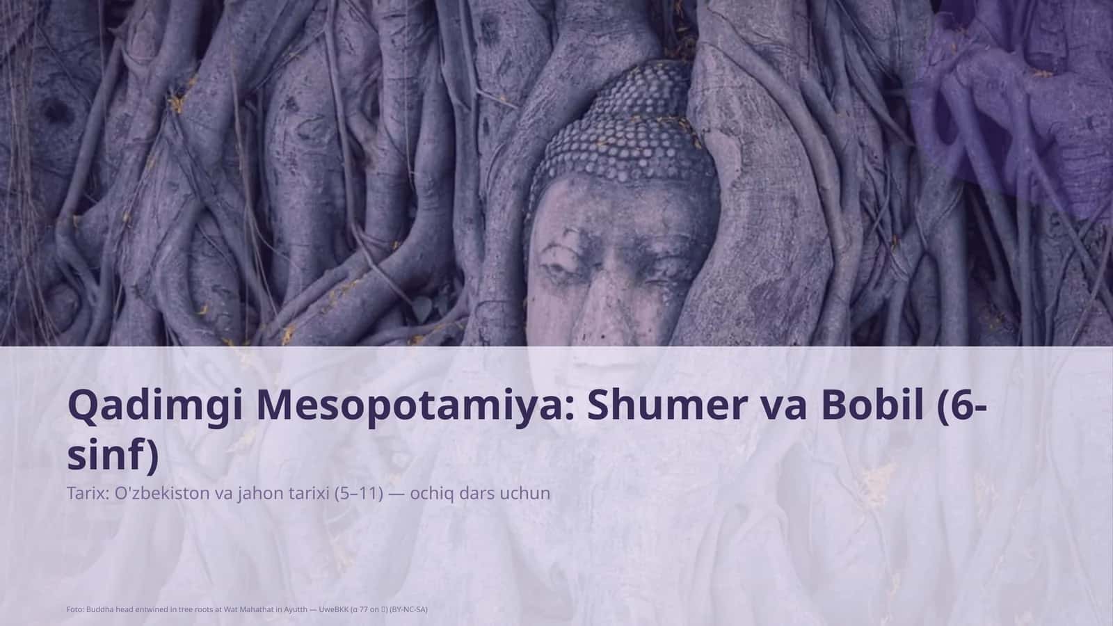Qadimgi Mesopotamiya: Shumer va Bobil (6-sinf) 1