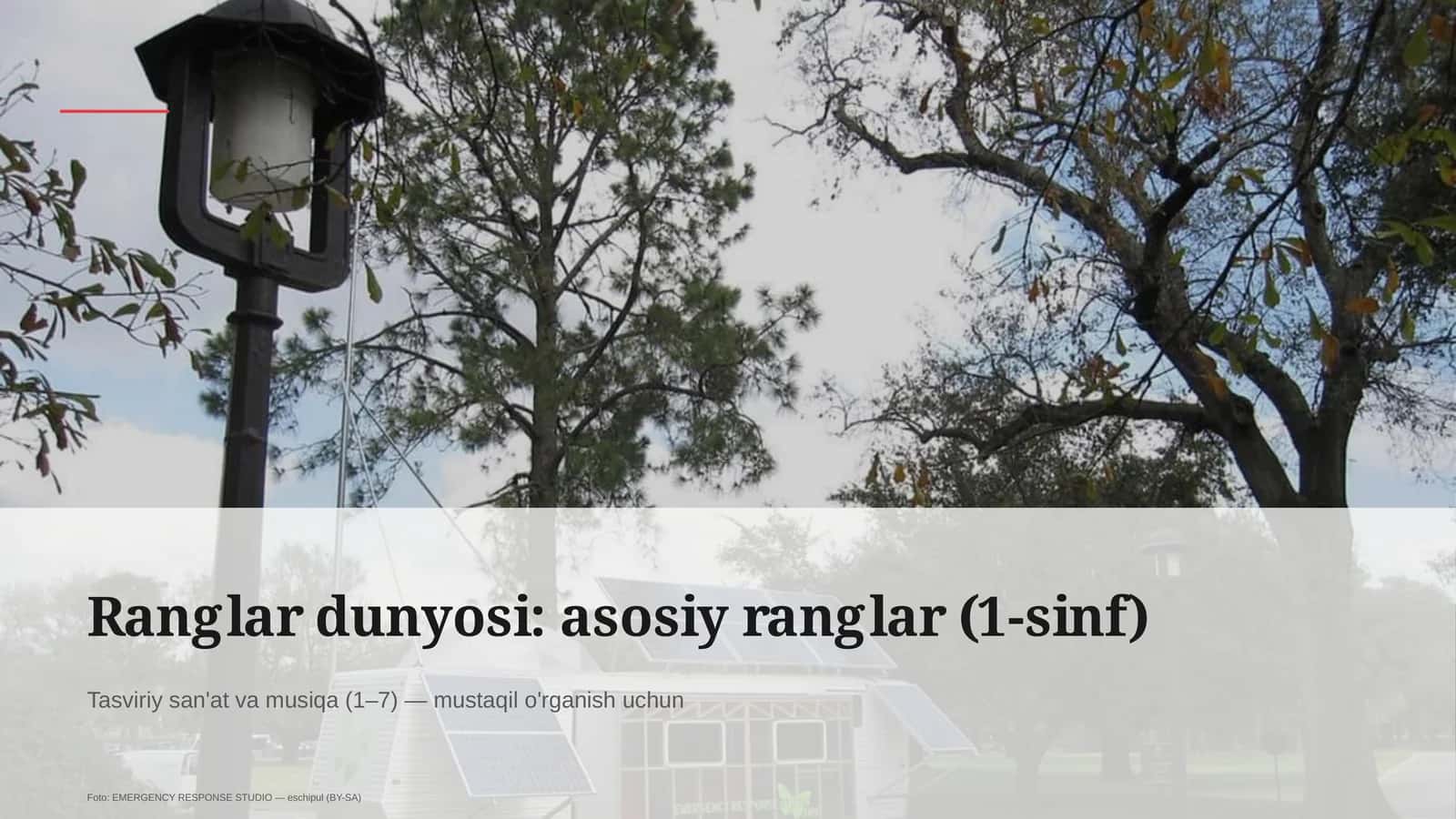 Ranglar dunyosi: asosiy ranglar (1-sinf) 1