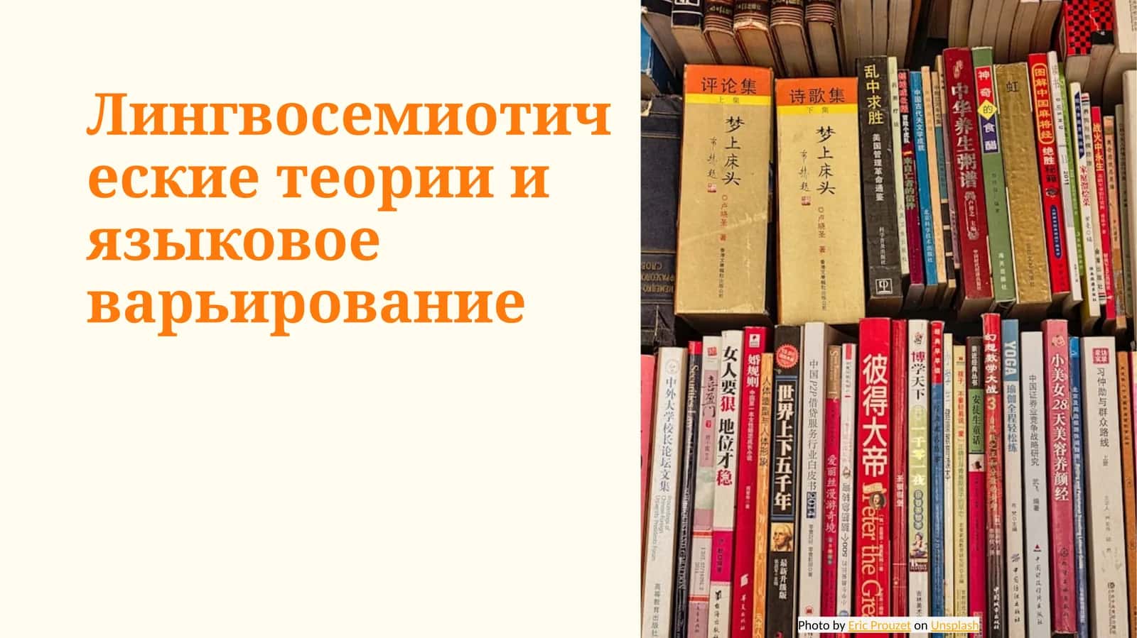 Лингвосемиотические теории и языковое варьирование 1