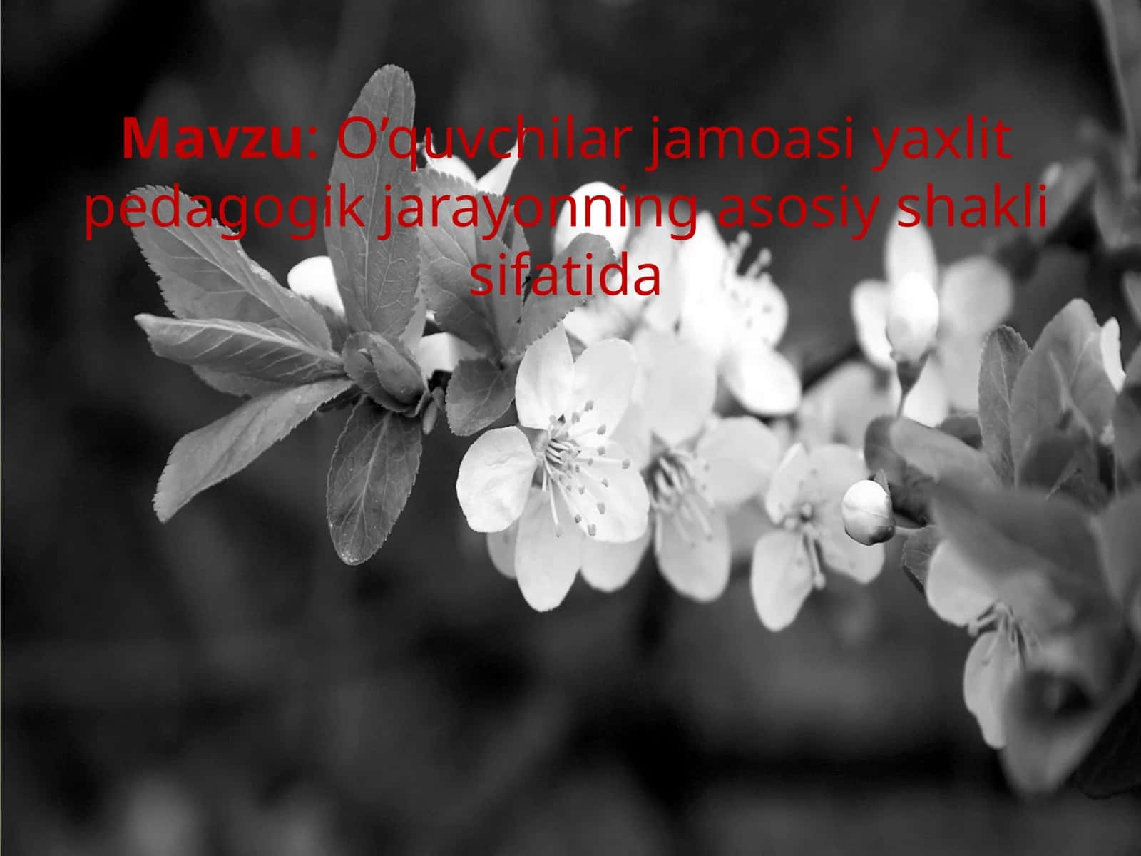 O’quvchilar jamoasi axliy pedagogik jarayonning asosiy shakli sifatida 1