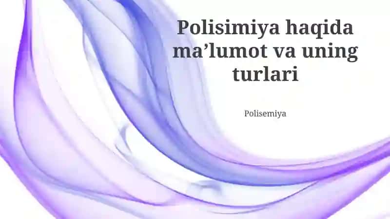 Ko'p ma'nolilik turlari
