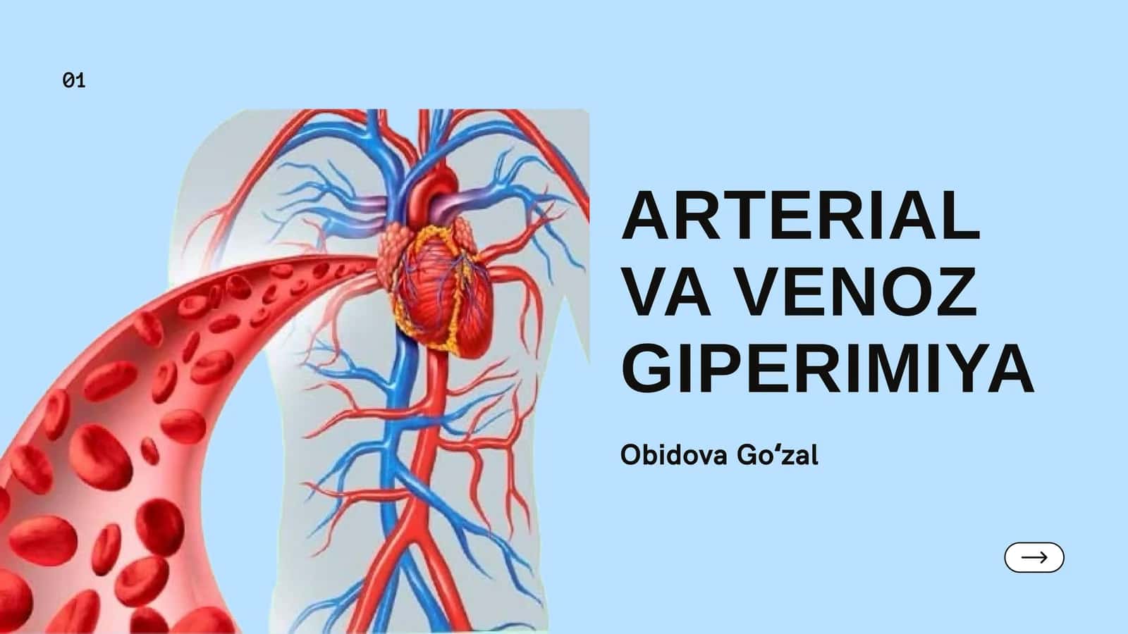 ARTERIAL VA VENOZ GIPERIMIYA 1