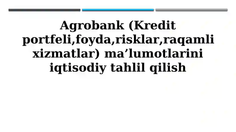 Agrobank (Kredit portfeli,foyda,risklar,raqamli xizmatlar) ma’lumotlarini iqtisodiy tahlil qilish