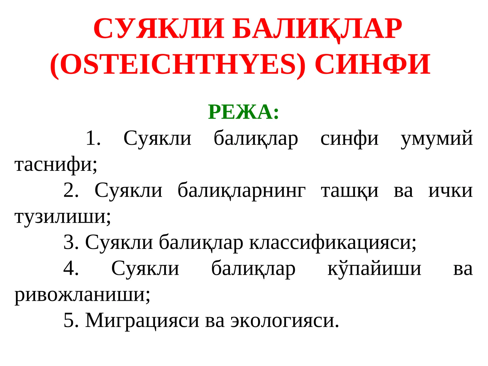Суякли балиқлар (Osteichthyes)синфи 1