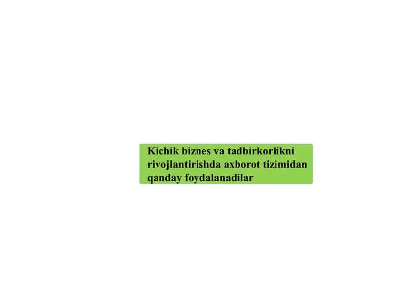 Kichik biznes va tadbirkorlikni rivojlantirishda axborot tizimidan qanday foydalanadilar 1