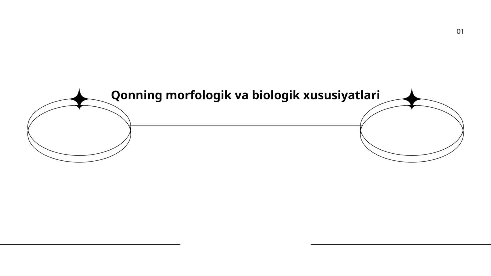 Qonning morfologik va biologik xususiyatlari 1