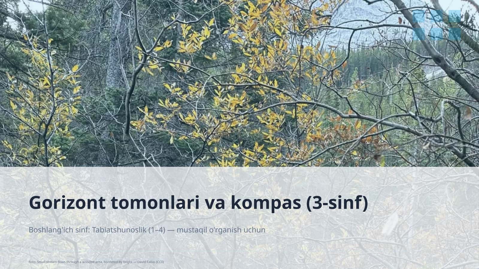 Gorizont tomonlari va kompas (3-sinf) 1