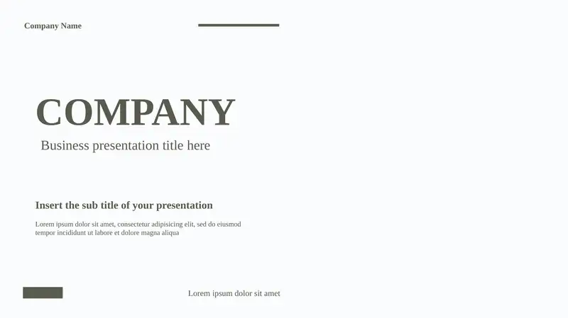 Business presentation 1