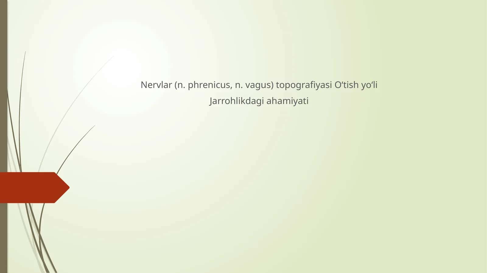 Nervlar(n.phrenicus, n.vagus)topografiyasiO‘tishyo‘li 1